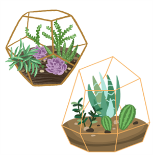 Terrarium