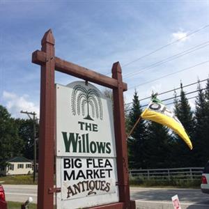 willows