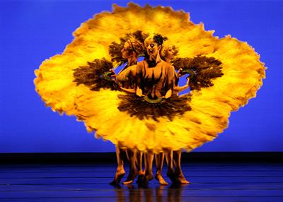 Momix Momix