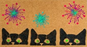 cat mat