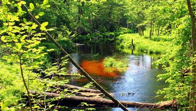 pondcherry