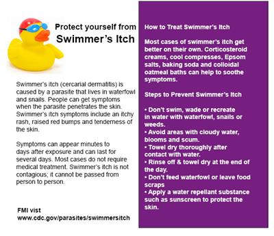 swimmers itch info